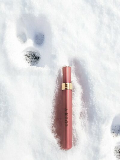 Lippen Penseel (Penvorm)