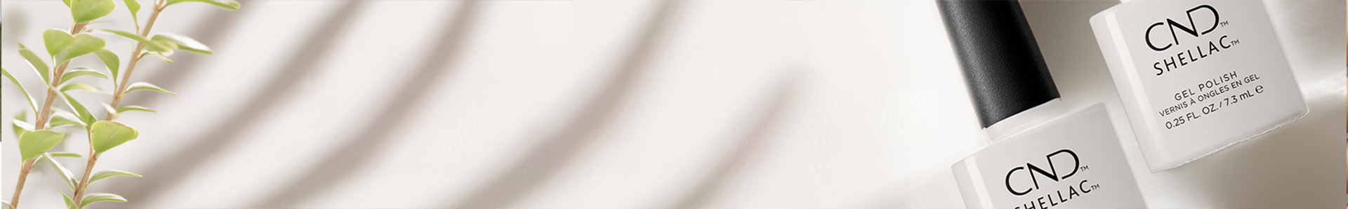 shop banner