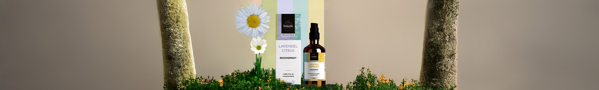 shop banner