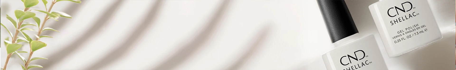 shop banner